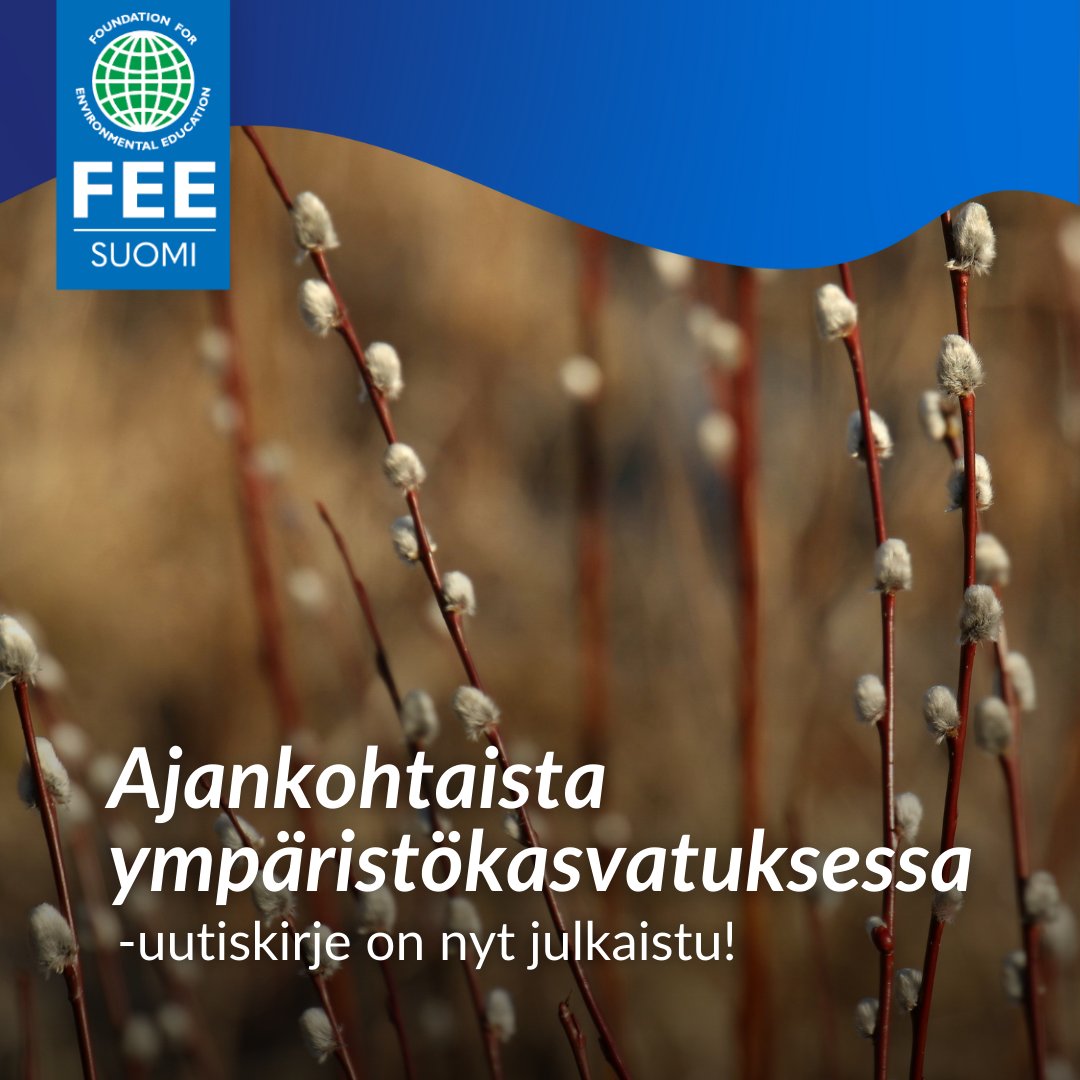 FEE Suomi tweet media