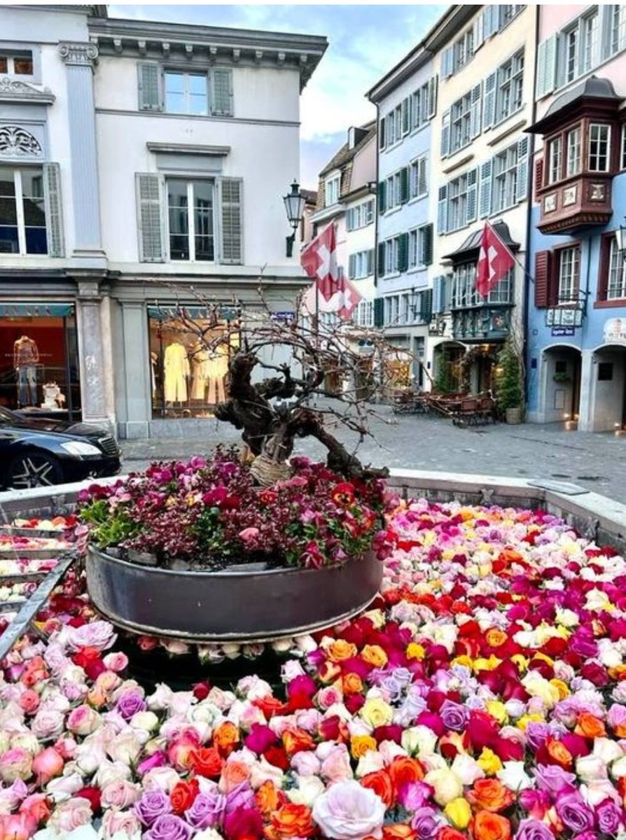 Στη Ζυρίχη, την εβδομάδα πριν το Πάσχα γεμίζουν τα σιντριβάνια με τριαντάφυλλα. Είναι ένα έθιμο που ξεκίνησε στην πανδημία για να δώσει ελπίδα. 
Ο,τι πιο όμορφο θα δεις σήμερα.