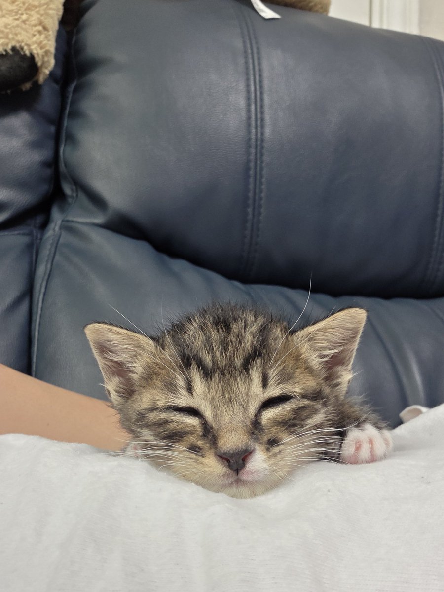 배에서 자는 명솔로몬