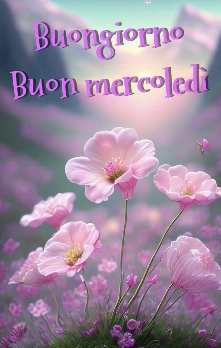 RITABIANCHi56 tweet media