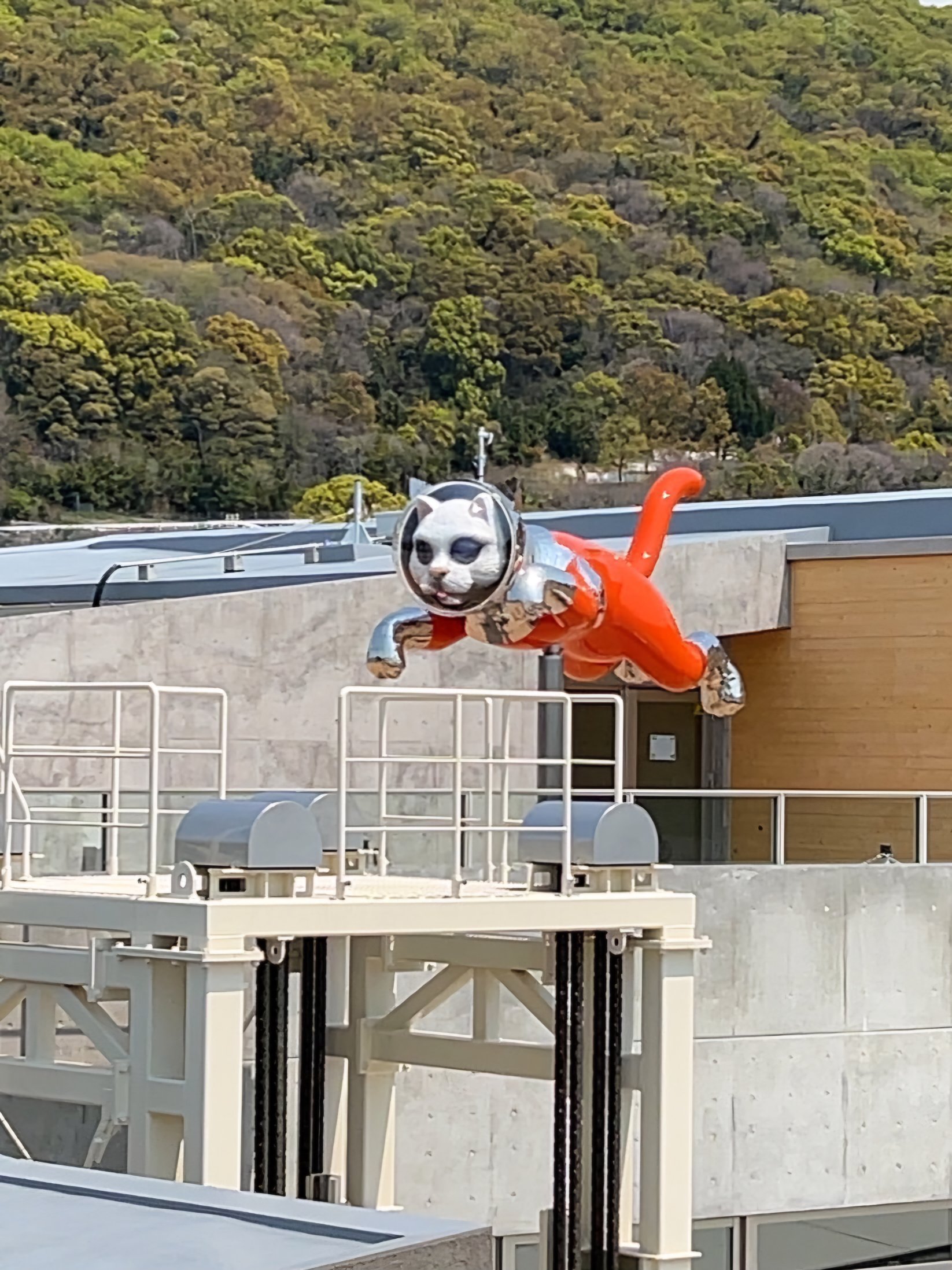 骨董　伊万里　有田　陶板　丸ウサギ　兎　コースター　オブジェ　ラスト５枚 2025年最新】Yahoo!オークション -うさぎ 皿(伊万里、有田)の