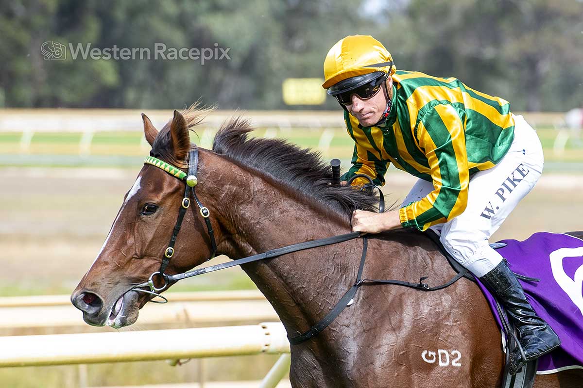 AMARLIME - Pinjarra Wed 16th April <a href="/PinjarraPark/">Pinjarra Park</a> #WesternRacepix #PinjarraRaces 

More  📸 westernracepix.com