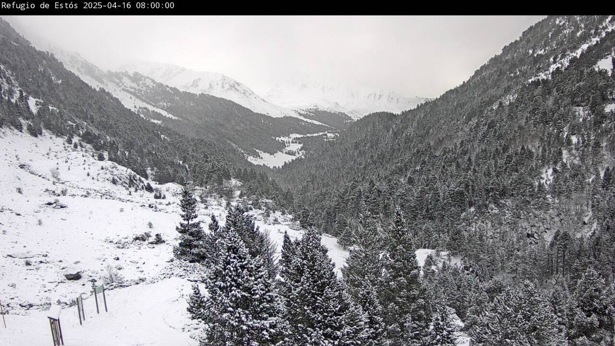 meteobenas's tweet photo. La nieve vuelve a cubrir el Pirineo. https://t.co/Va7BoCYkdw