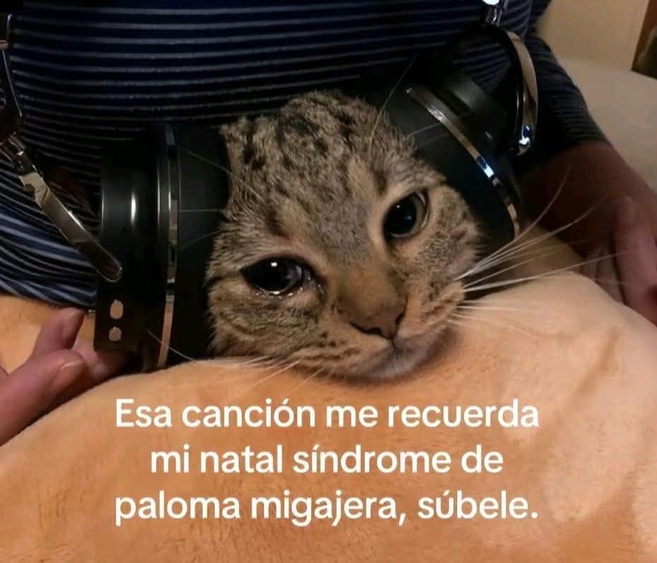 En Júpiter (@en_jupiter_) on Twitter photo 