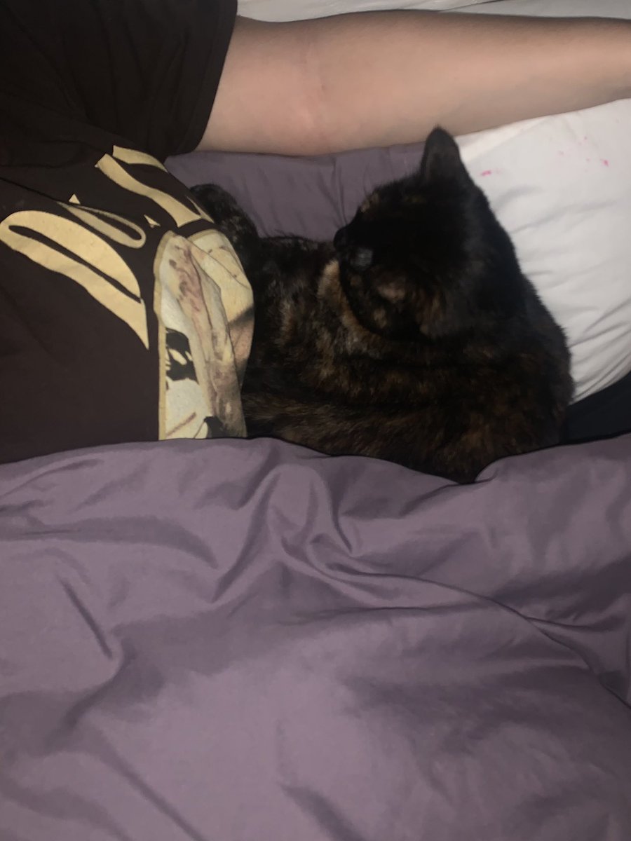 VixenTime's tweet image. #annoying