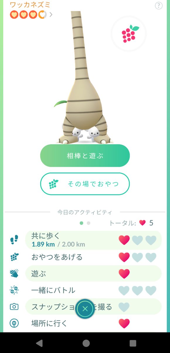 pika_Toro's tweet photo. 相棒のワッカネズミがナッシーと仲良しなんだが？？？ #PokemonGo https://t.co/uGqMpip2K6