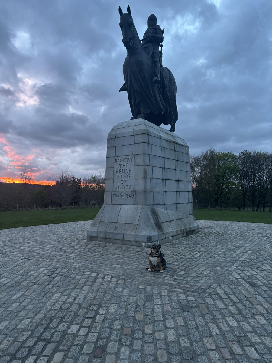 stru31016's tweet photo. Good Morning & happy, happy Wednesday 👋😃 Last night Mummy took me to Bannockburn Heritage Centre ☺️ It has a hooge park to run around in 🙌 And a statue of Robert The Bruce 😍 Have a super day friends 🥰💕🥰♥️🐾🐾
#WontLookWednesday #KingOfScots https://t.co/LMidvUbe5c