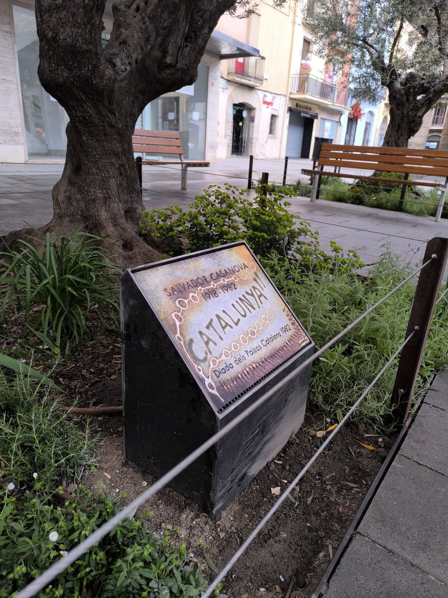 ERC Granollers (@ercgranollers) on Twitter photo Les obres a les oliveres de la Porxada van fer retirar la placa en record a Salvador Casanova. Després d'uns mesos en què hem seguit de prop el tema, volem agraïr la nova placa de Toni Cumella, rèplica de la feta pel seu pare. L'original ha estat cedida al <a href="/MuseuG/">Museu de Granollers</a> #Granollers Les obres a les oliveres de la Porxada van fer retirar la placa en record a Salvador Casanova. Després d'uns mesos en què hem seguit de prop el tema, volem agraïr la nova placa de Toni Cumella, rèplica de la feta pel seu pare. L'original ha estat cedida al <a href="/MuseuG/">Museu de Granollers</a> #Granollers