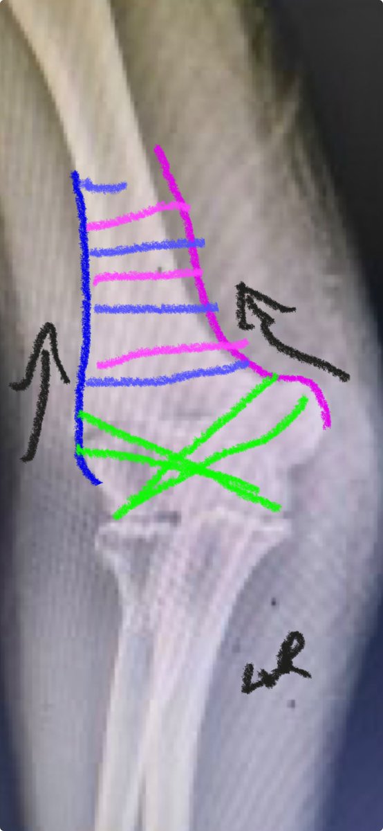 Lee Van Rensburg tweet media