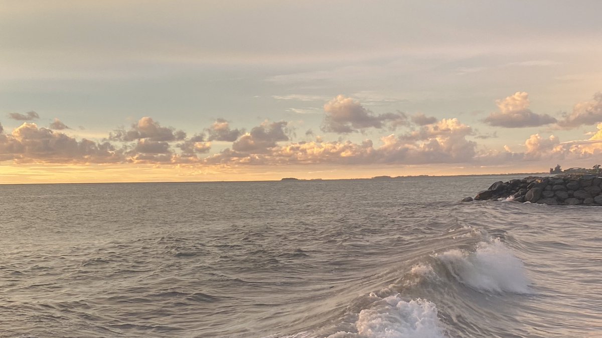 jena, d. tweet media