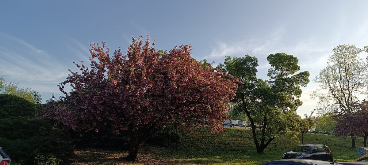 Vidjela žaba da se konj potkiva pa i ona digla nogu 😂. 
Dobro jutro 🤗