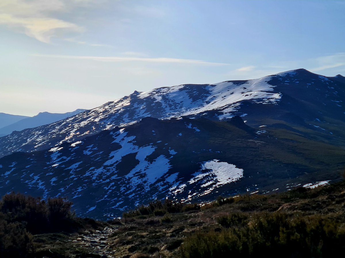 J. SANTIAGO🦁 tweet media