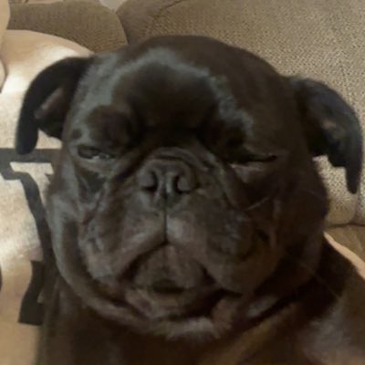 ceeek__'s tweet photo. #NewProfilePic https://t.co/tRICIS8AZK