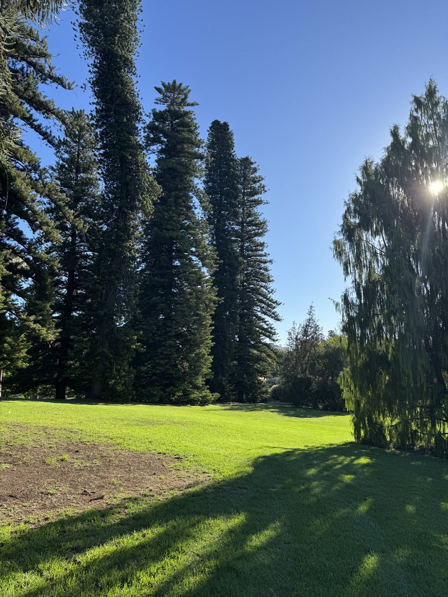 TodSampson9's tweet photo. Some flicks from the botanic garden today https://t.co/yjzOAVv8jD