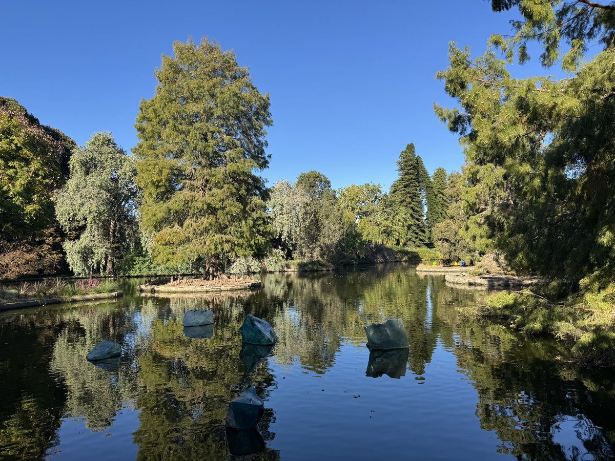 TodSampson9's tweet photo. Some flicks from the botanic garden today https://t.co/yjzOAVv8jD