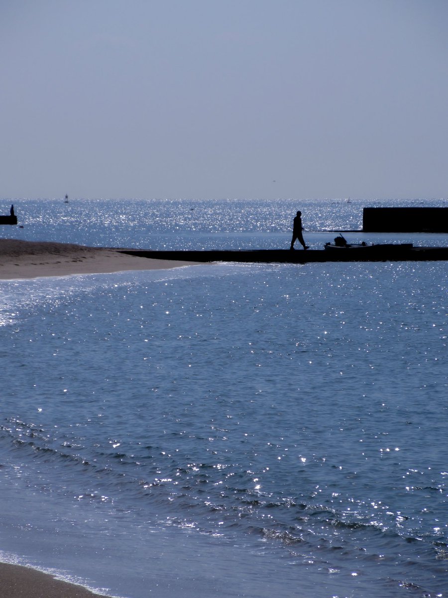 遥か (@faraway_hlc) on Twitter photo 