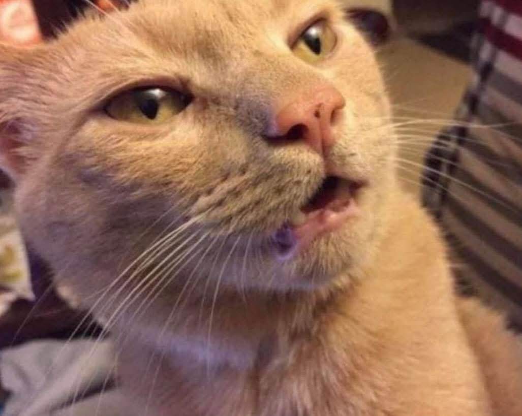 When you testify in court against a serial killer and he wins the case.
