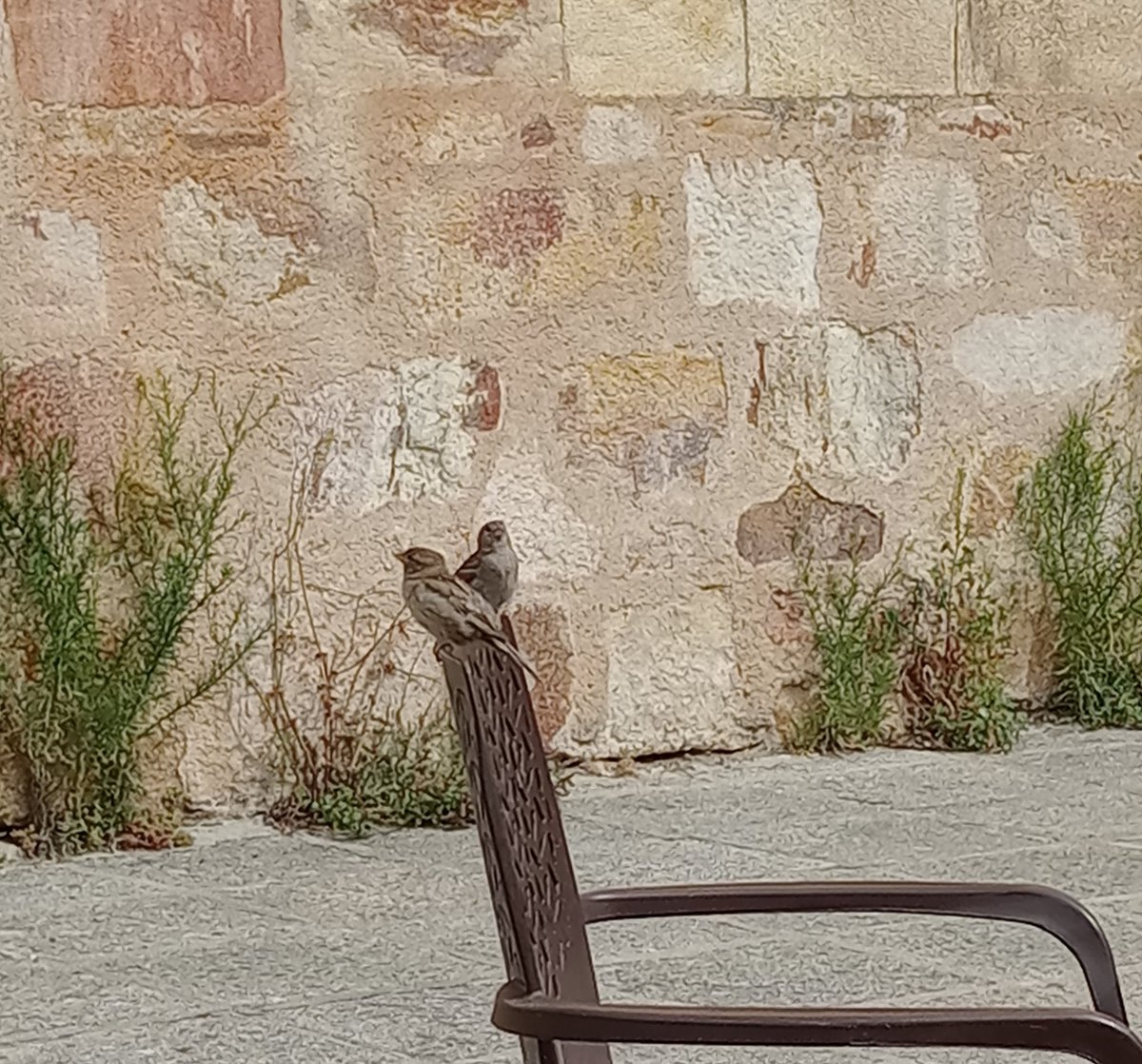 "Lo eterno, en el fulgor

del lirio, vestido tal Salomón,
en el pajarillo que en enero,
con la helada, busca entre la escarcha
una miga de pan..."

Fernando Alda 

Ínsula Barataria: Almenaras de sombra, 5 insulabaratariaa.blogspot.com/2025/04/almena…