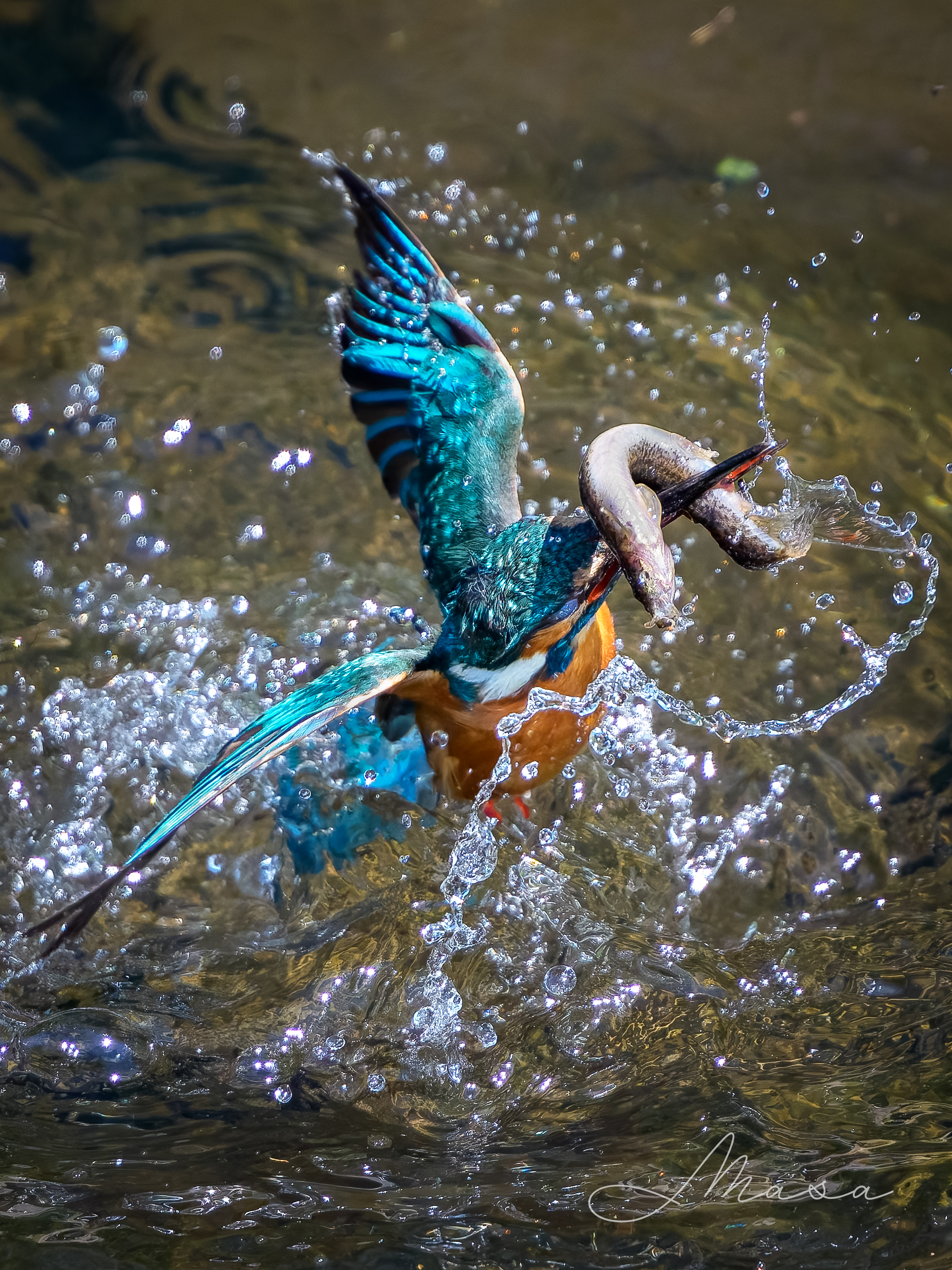 Highlights by まさ/ Masa (@AlphaMasa) / X