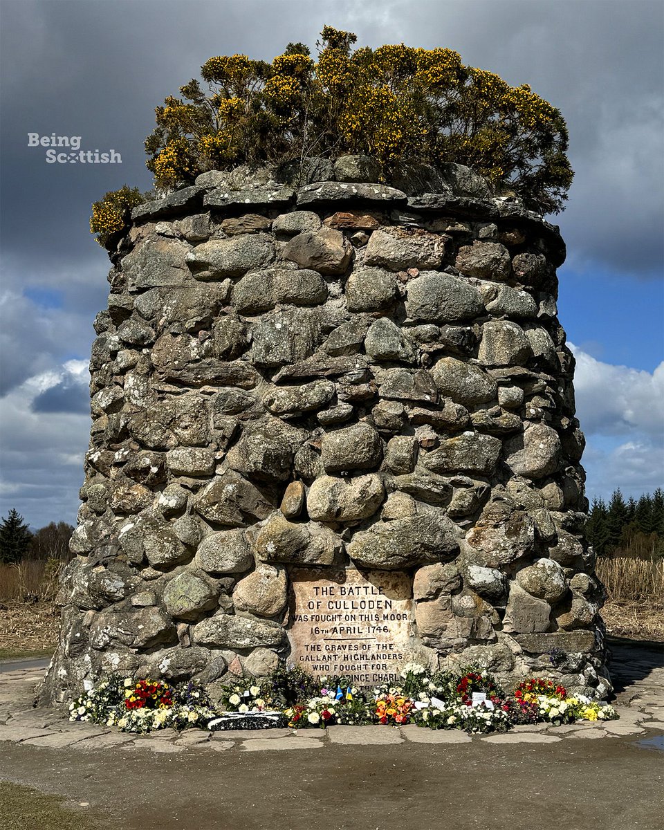 Being Scottish tweet media