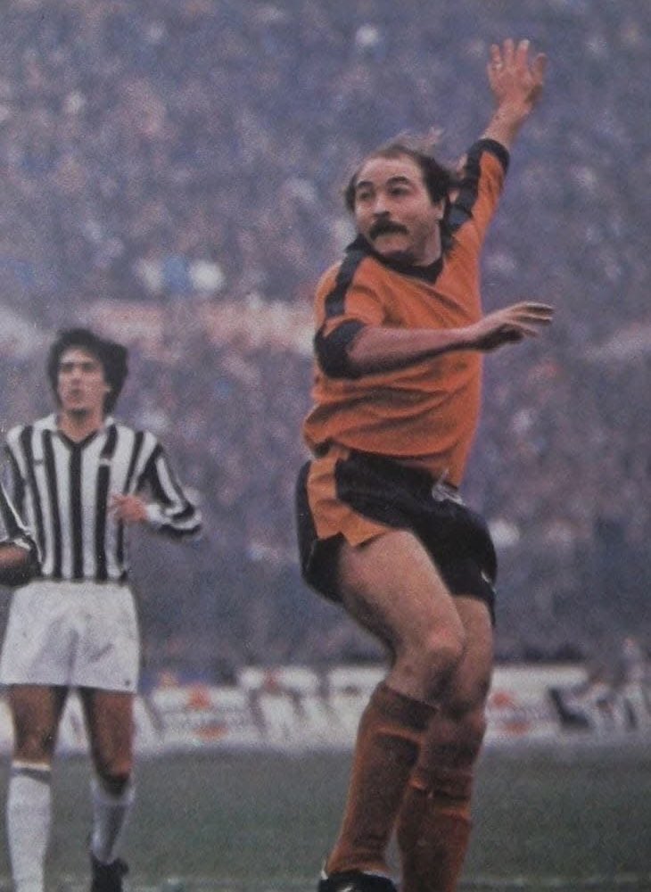 L’Oasi di Salvo tweet media