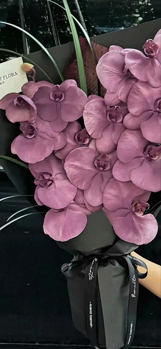 wangxiaoxian33's tweet photo. 蝴蝶兰绽放，雅室生香，一抹幽蓝绘春色无边，看那蝶舞花间，兰花轻摇，雅致生活由此开启。 #LibertyCatNFT #Web3 #NFT #Crypto #OKX https://t.co/74f0XPRnY2