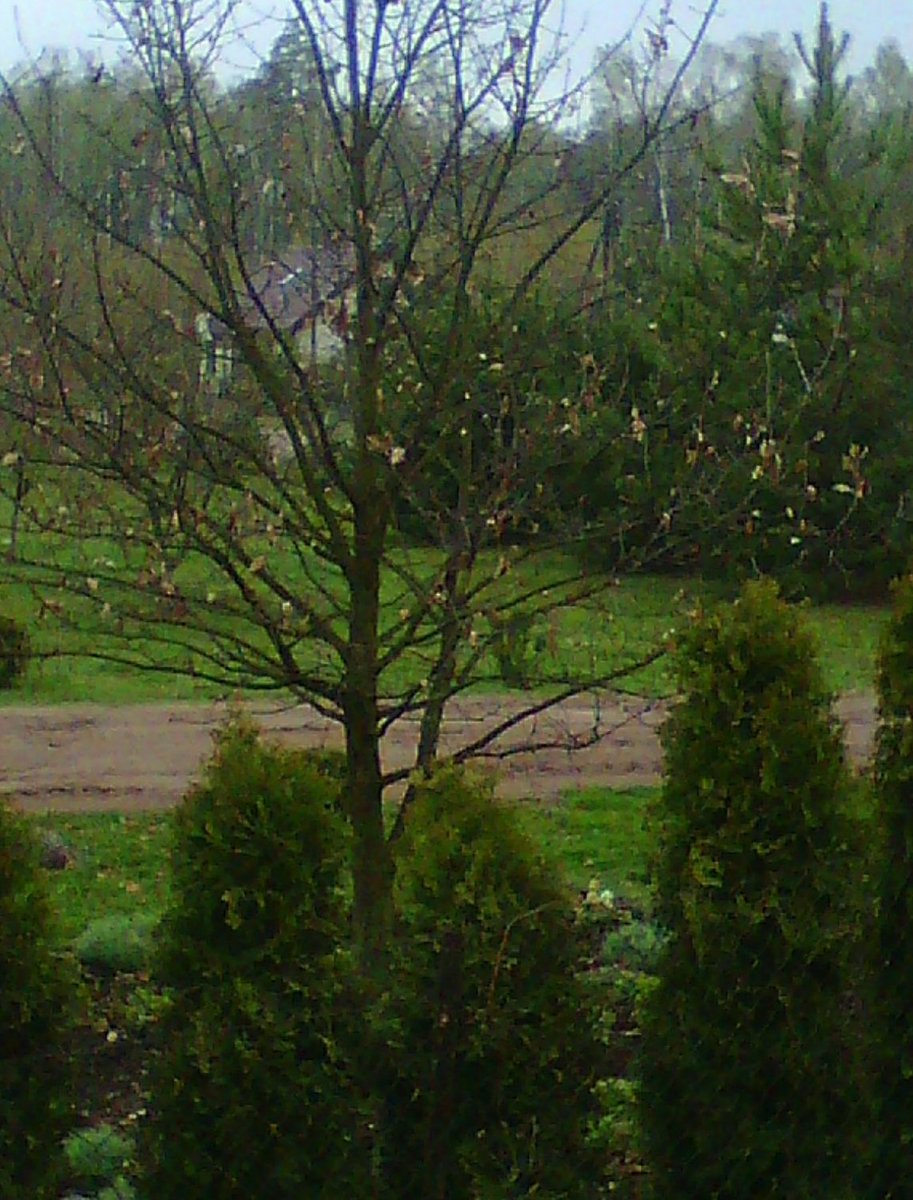 Agnieszka Wadolowska (@atrojka3) on Twitter photo 