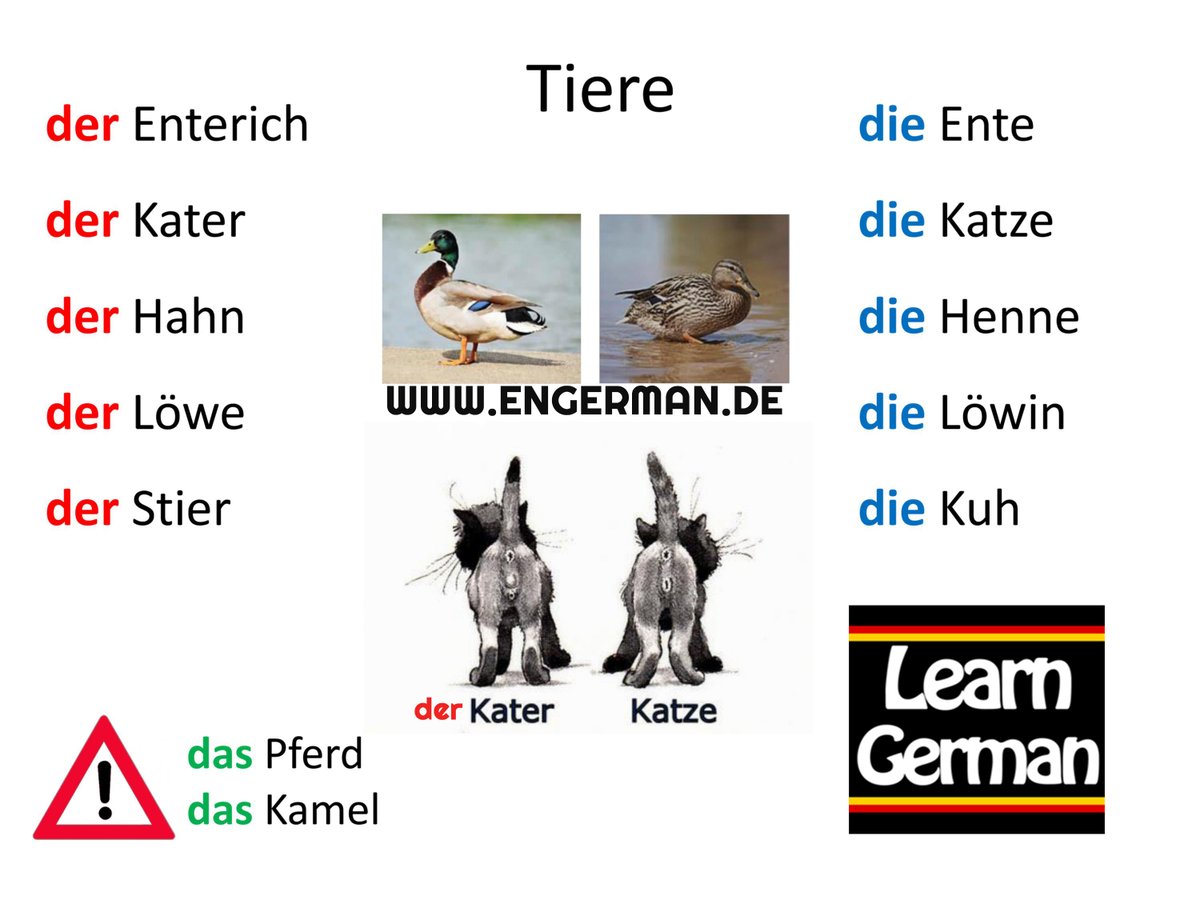 Learn German (@learngermann) on Twitter photo 