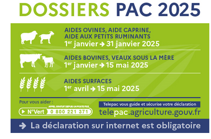Image de Préfète de la Mayenne
