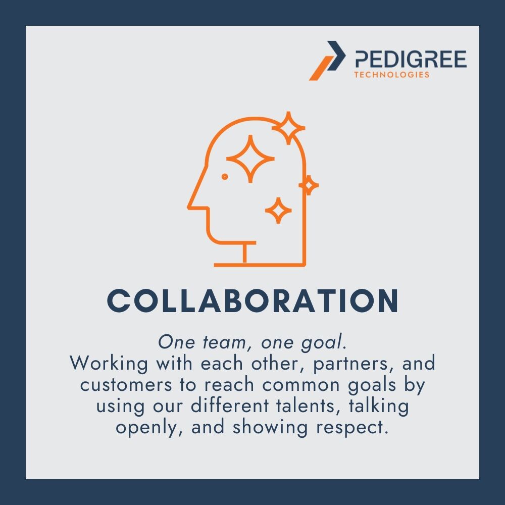 PedTech's tweet photo. At Pedigree Technologies, what sets us apart is a culture deeply rooted in curiosity, collaboration, and integrity.

These values don’t just guide us, they define us. 💪

➡️🔗https://t.co/h8DXVcKngS

#Leadership #CompanyCulture #CoreValues #Teamwork https://t.co/Hu85c8Dyyv