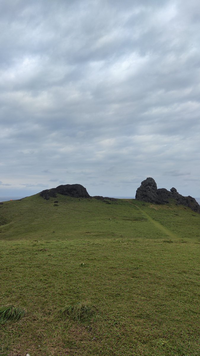 Mark Castillo Bucay tweet media