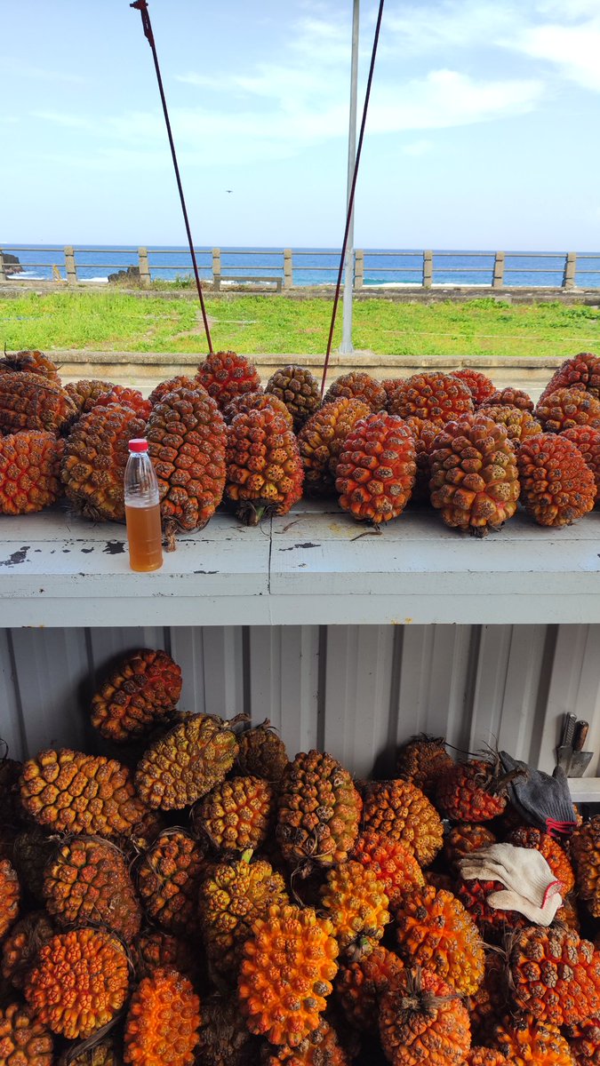 Mark Castillo Bucay tweet media