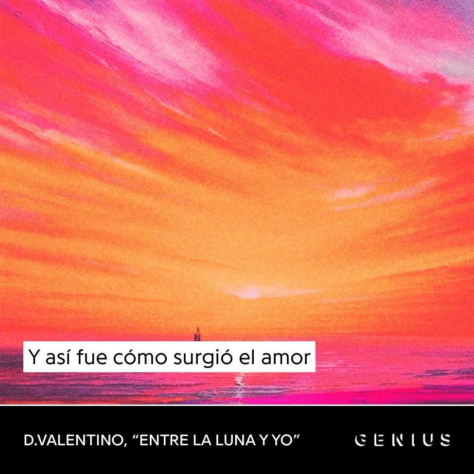 A M O R