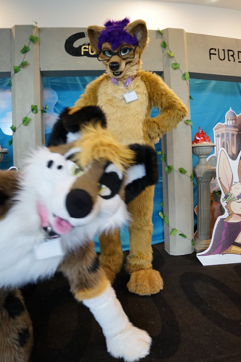 Kal Dingo (@kalthedingo) on Twitter photo Wat that <a href="/AndyVancee/">Andy Vancee</a> doin?! Wat that <a href="/AndyVancee/">Andy Vancee</a> doin?!