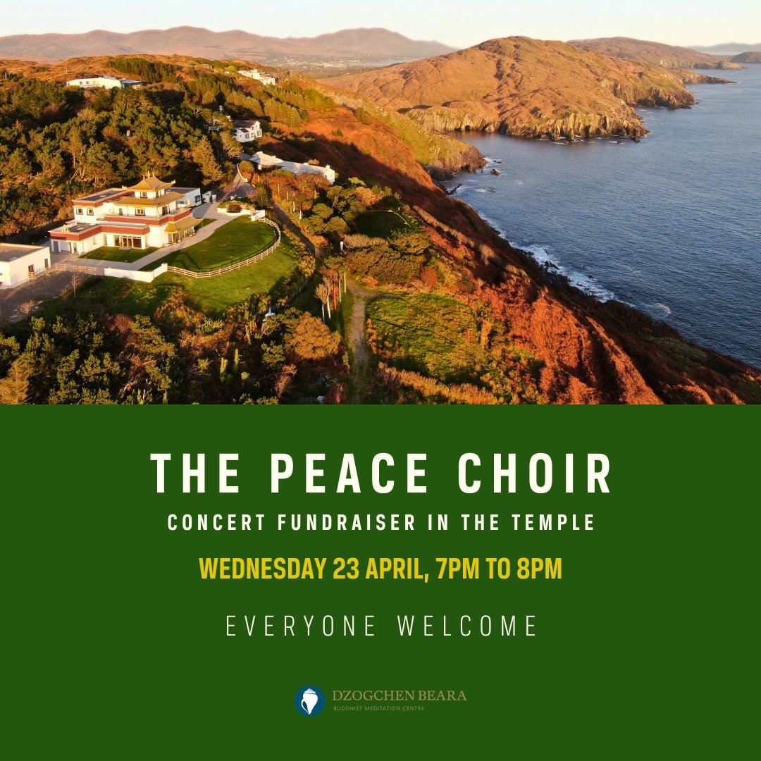 Next week, you are all very welcome to join us for an evening of choral music with The Island of Ireland Peace Choir. Featuring Irish Tenors member Declan Kelly, the choir will perform a selection of songs in the temple. Book online or pay at the door: bit.ly/43HNi0s