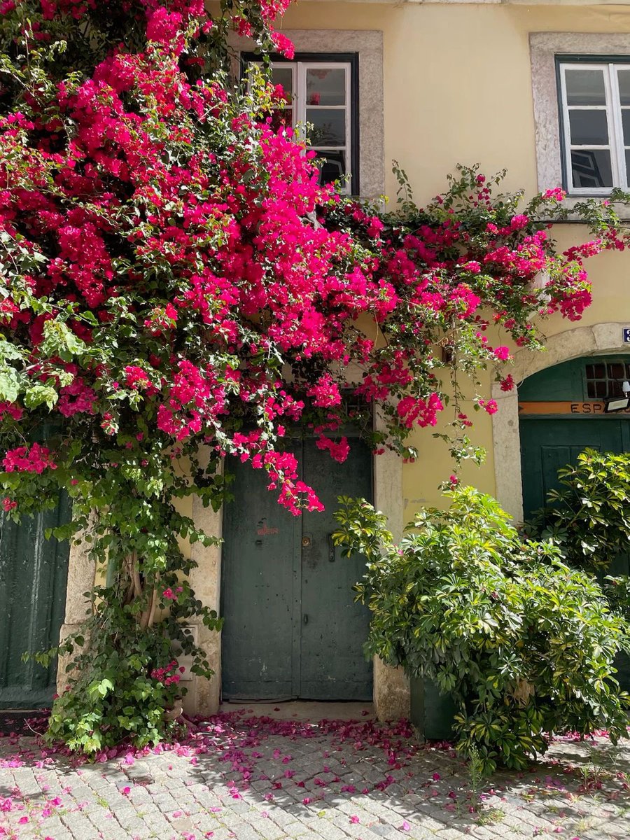 pradavante's tweet image. 