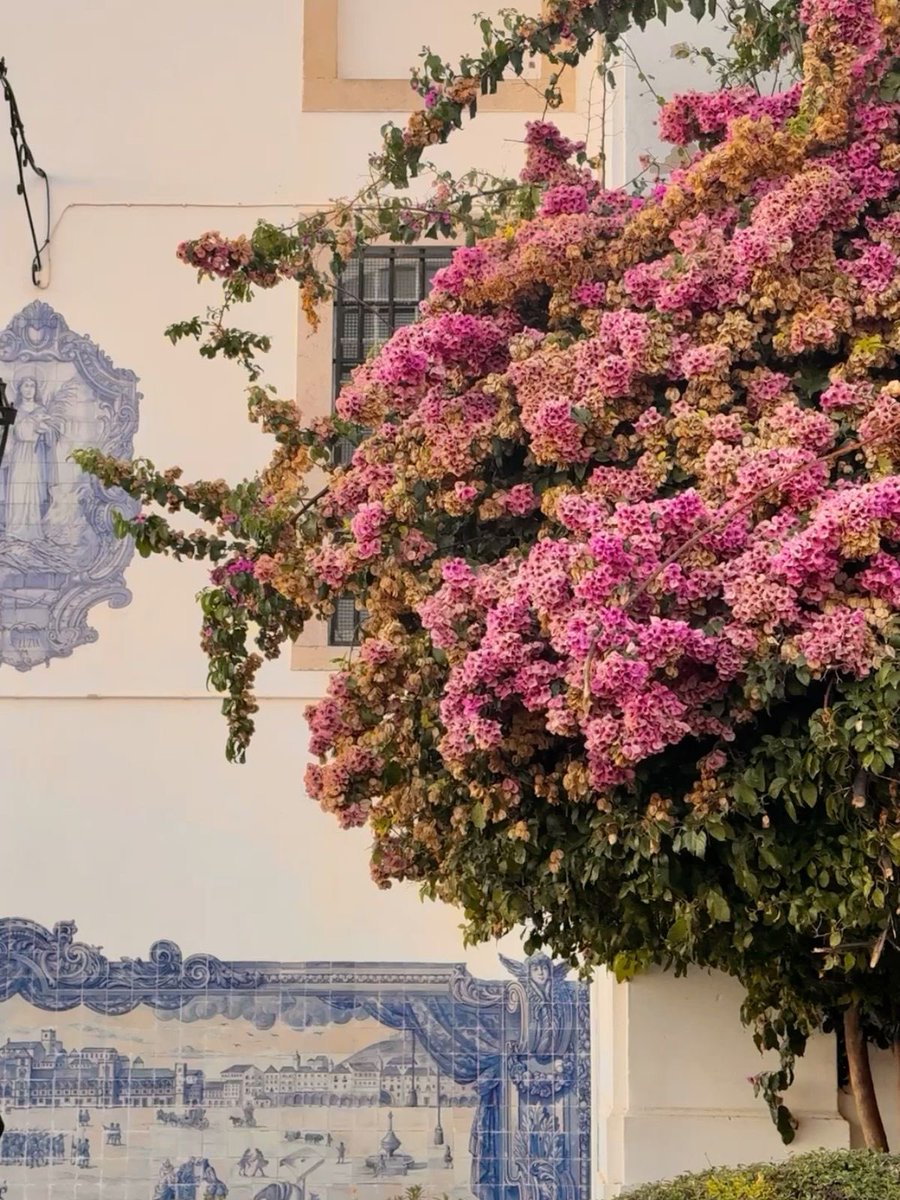 pradavante's tweet image. 