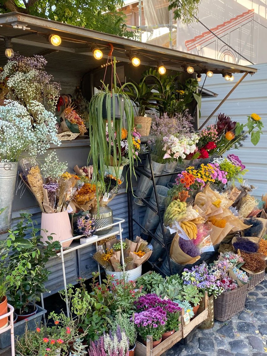 pradavante's tweet image. 