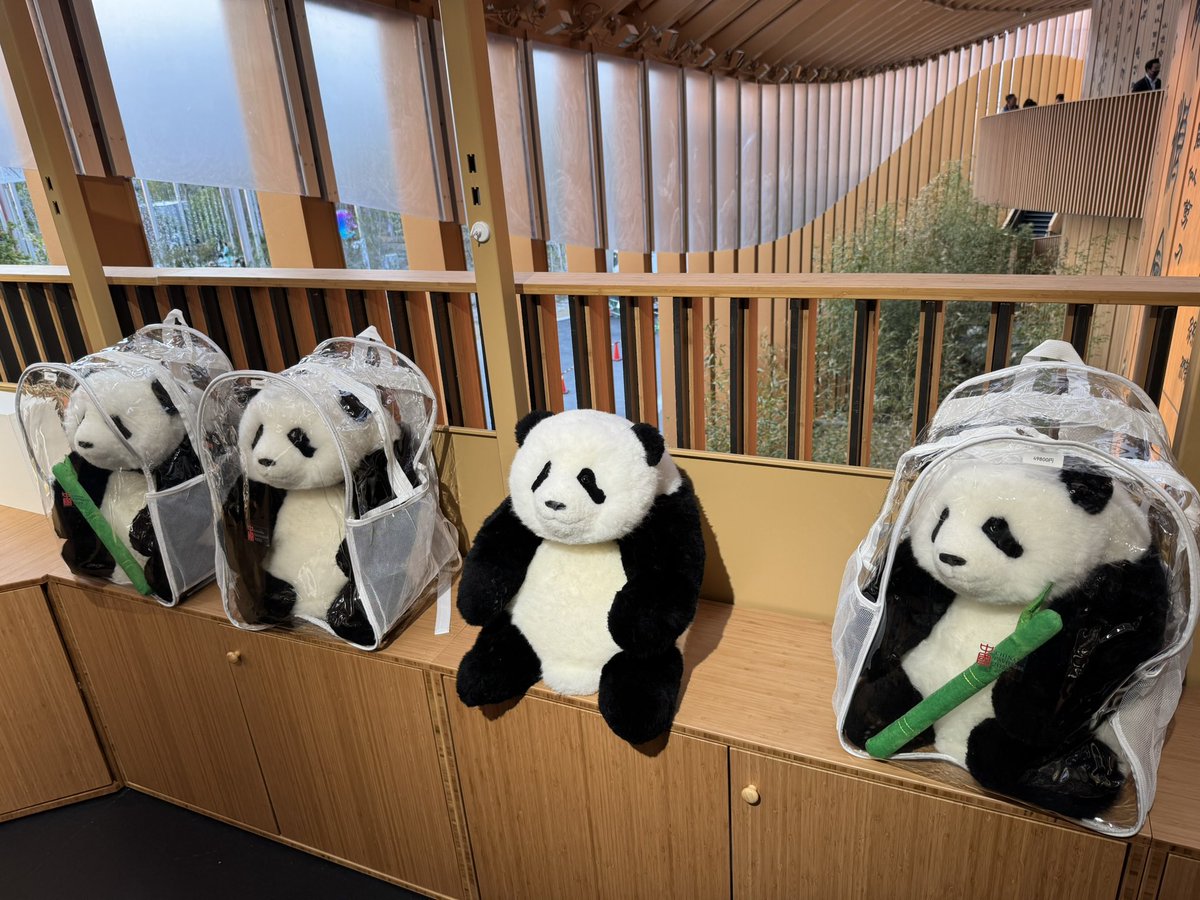 全体的に中国らしい赤色装飾でなくて木目調のシックな館内で🐼要素