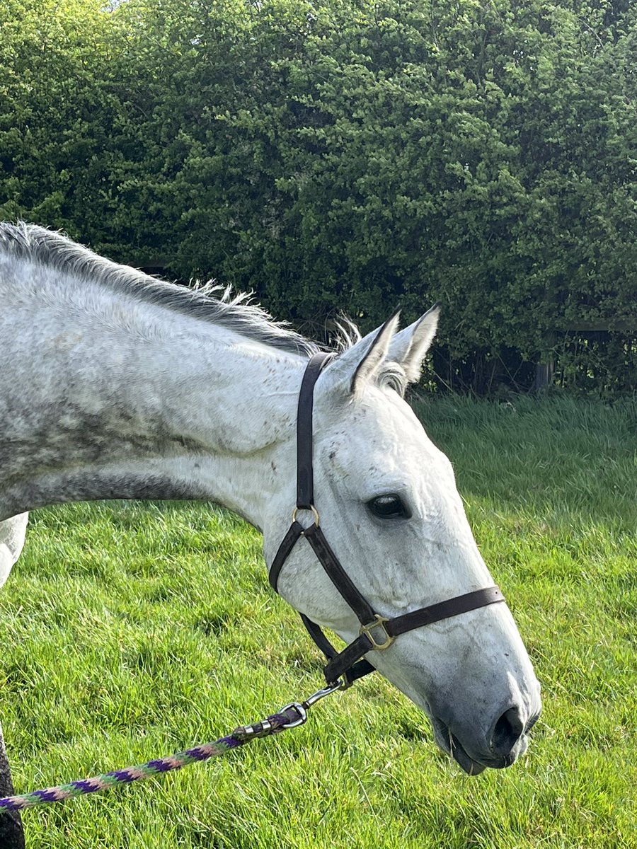 ednicholson tweet media