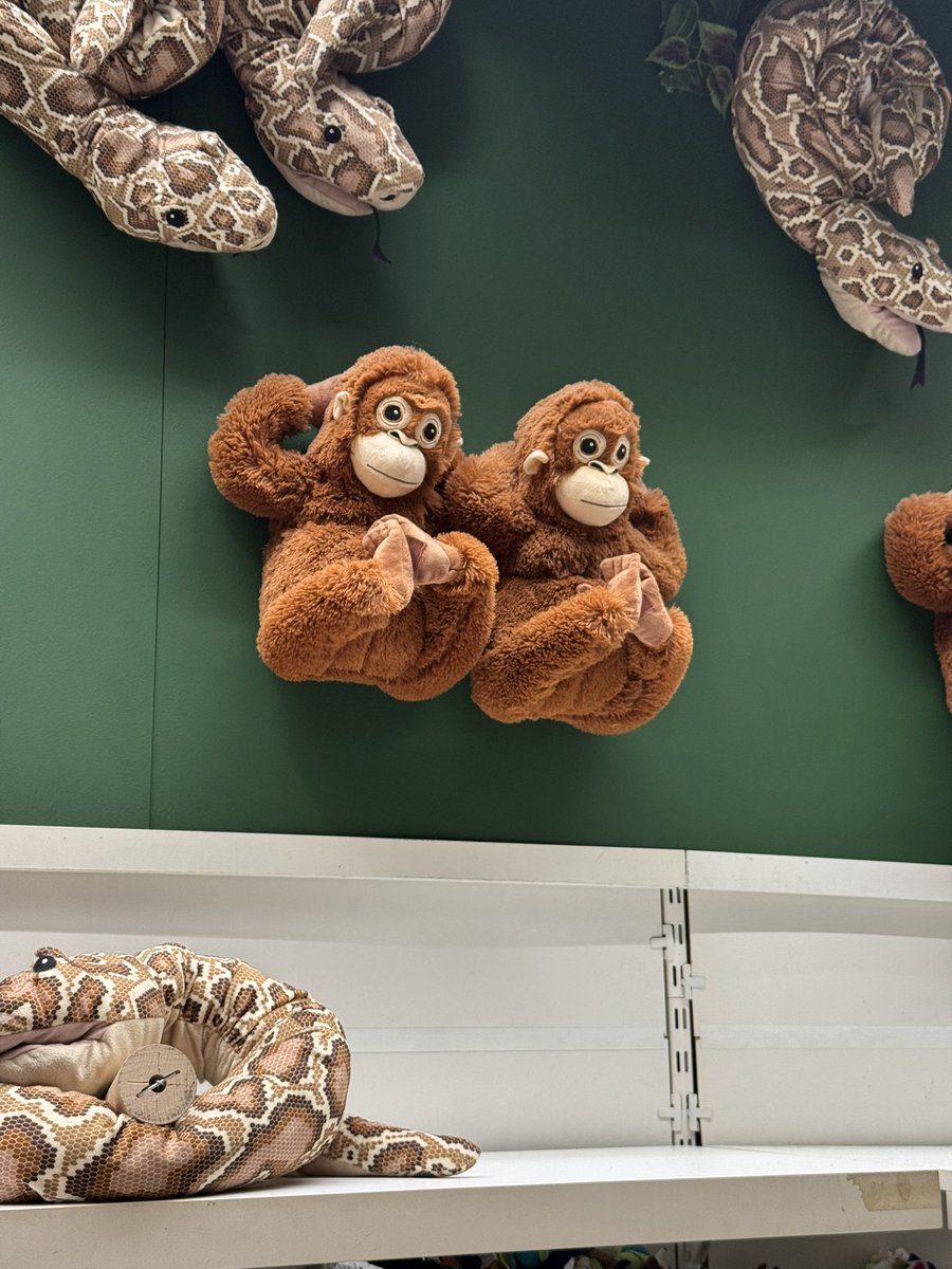 wpuddingk's tweet image. 😍😍😍