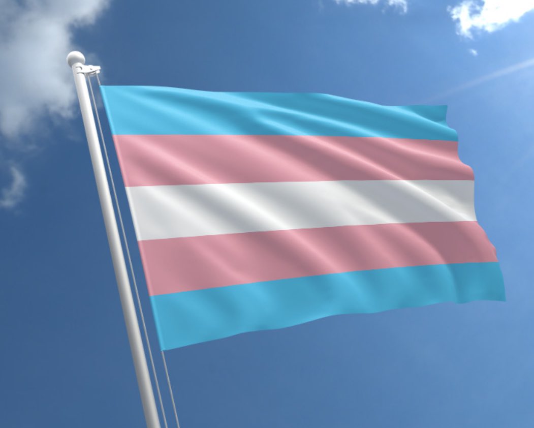 “The arc of the moral universe is long, but it bends toward justice.”

Martin Luther King. 

#TransRightsAreHumanRights