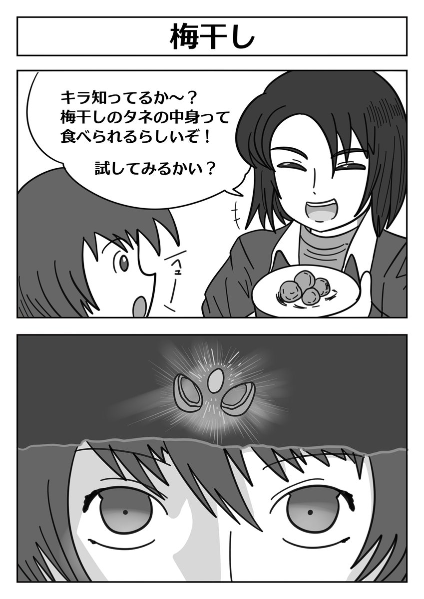 【ガンダムSEEDの2コマ漫画】 