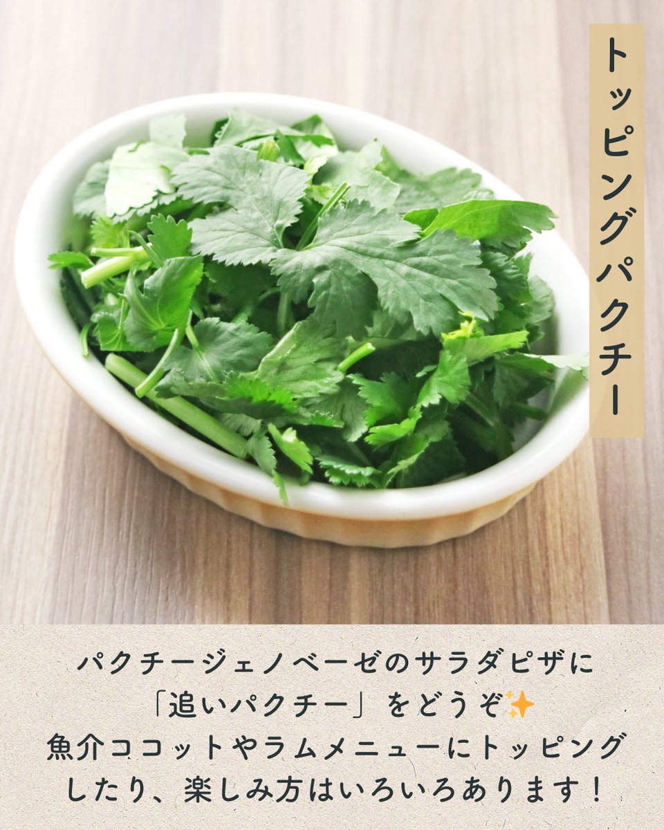 今月のおすすめ素材「パクチー【茨城県産】」を使ったメニューをご紹介