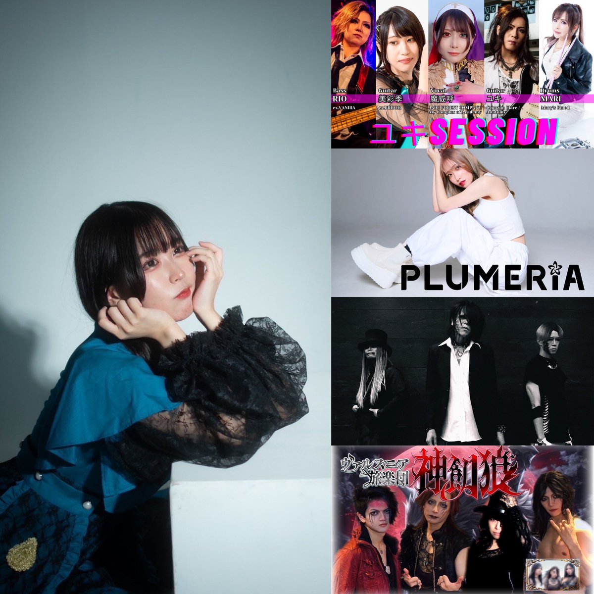 プルメリアページ 61A3IhfjbNL._AC_UF350,