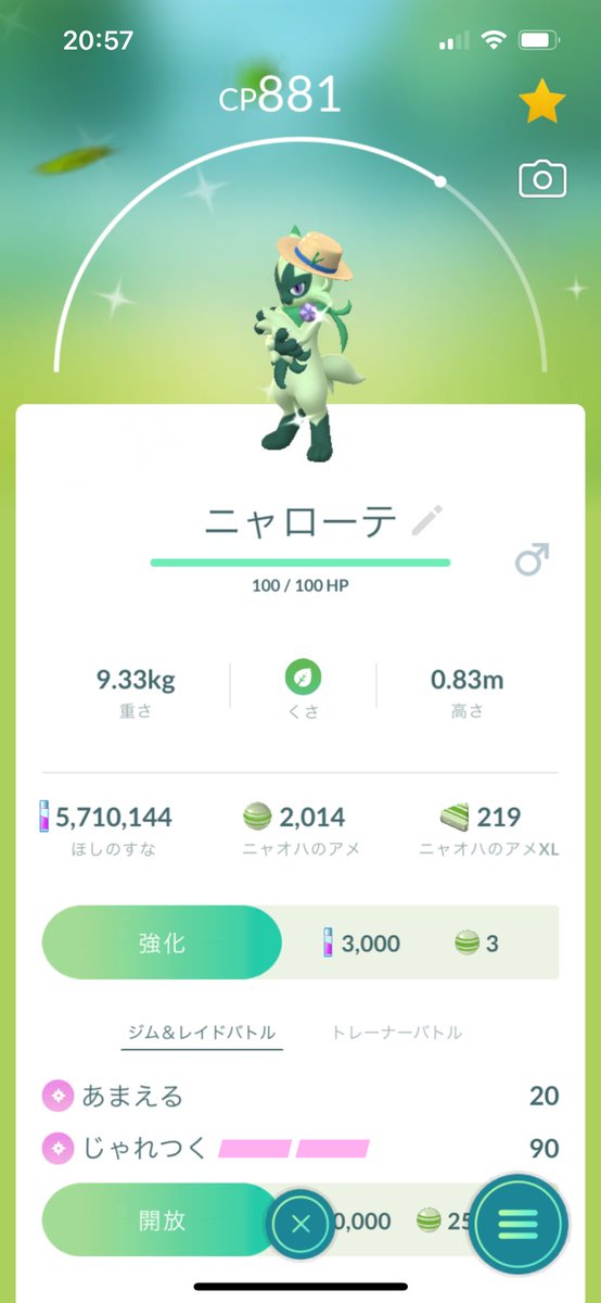 わ〜〜〜い🐱👒🩷