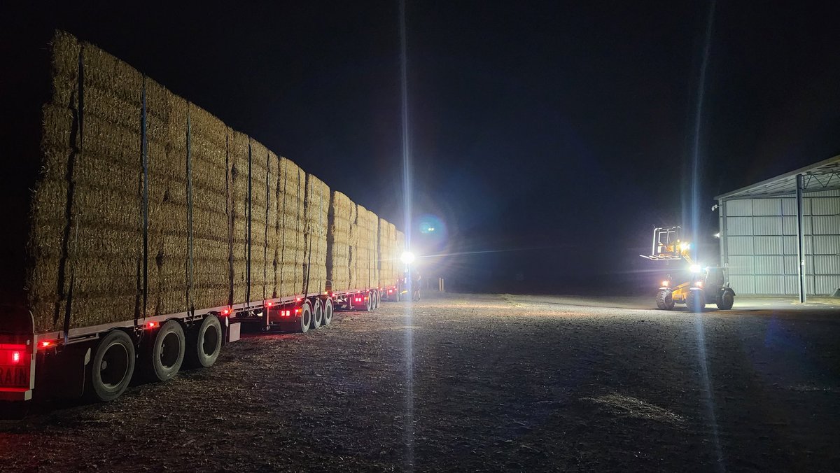 Dry conditions forecast for the next few months, pretty bad feeling about this coming season...time to buy in more straw while we still can