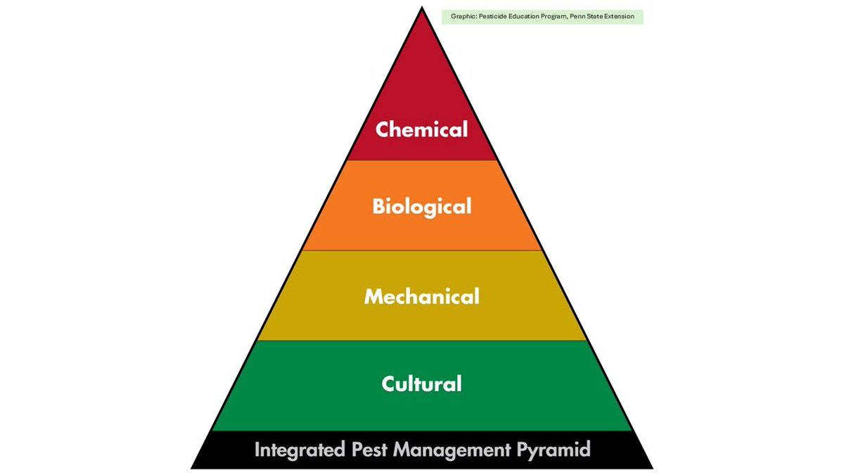 Start of Season – IPM

With spring right around the corner, beware of broad-spectrum products for your home lawns and ornamental beds. Purchasing products ahead of time or applying them before pests are present is not always the best plan. You may be harming beneficial insects.
