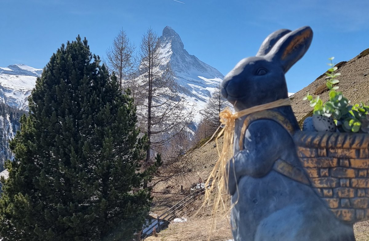 🌸 Happy Easter from Symbolon AG! 🐣
Wishing you joyful moments of reflection, renewal, and inspiration.
Let this season remind us of the power within to grow and transform.

<a href="/Symbolon/">Symbolon AG</a> 
#HappyEaster #SymbolonMethod #Reflection #Leadership