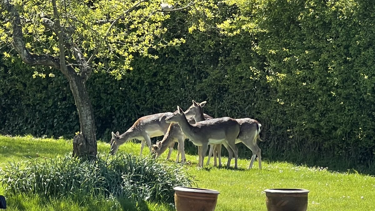 Look what’s just arrived!